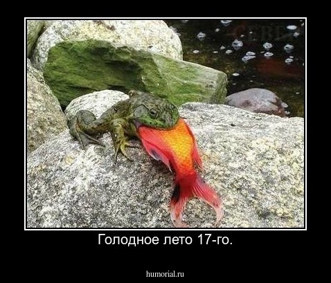 Голодное лето 17-го.