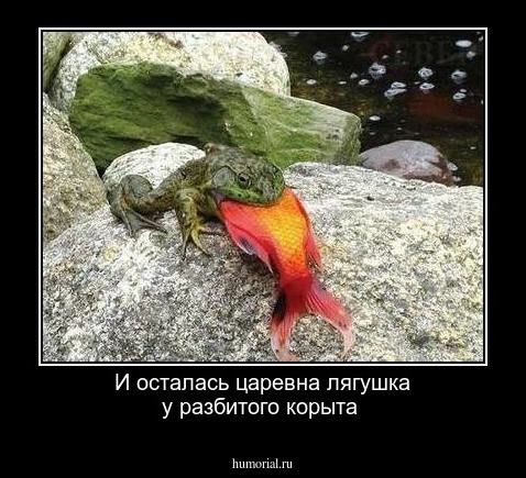 И осталась  царевна лягушка у разбитого  корыта