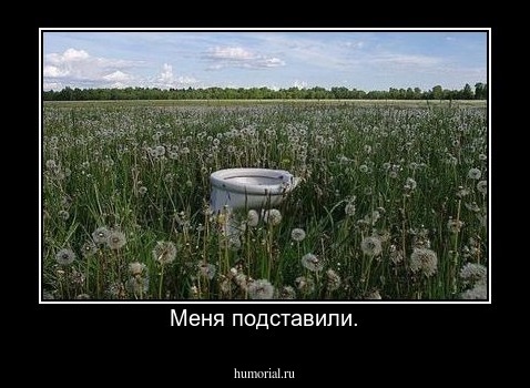 Меня подставили.