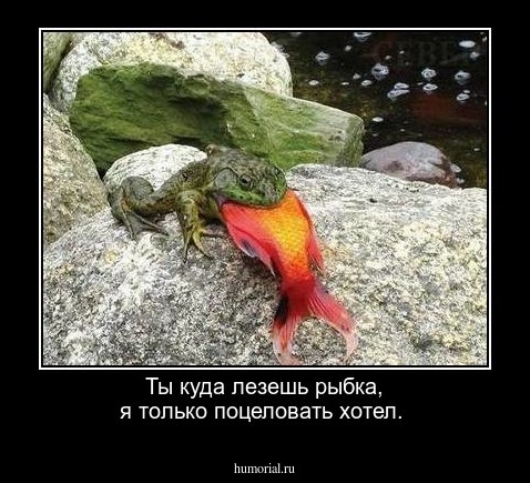 Ты куда лезешь рыбка, я только поцеловать хотел.