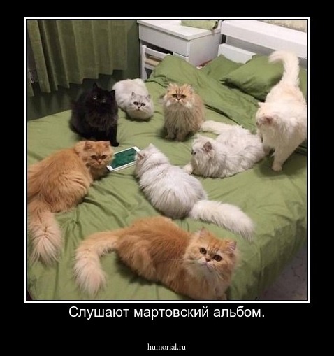 Слушают мартовский альбом.