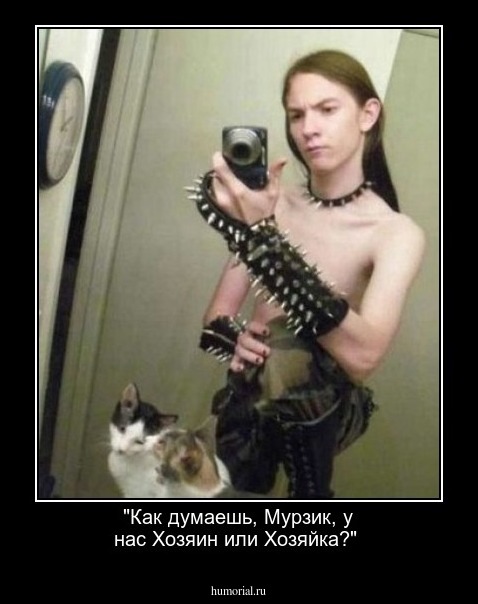 "Как думаешь, Мурзик, у нас Хозяин или Хозяйка?"