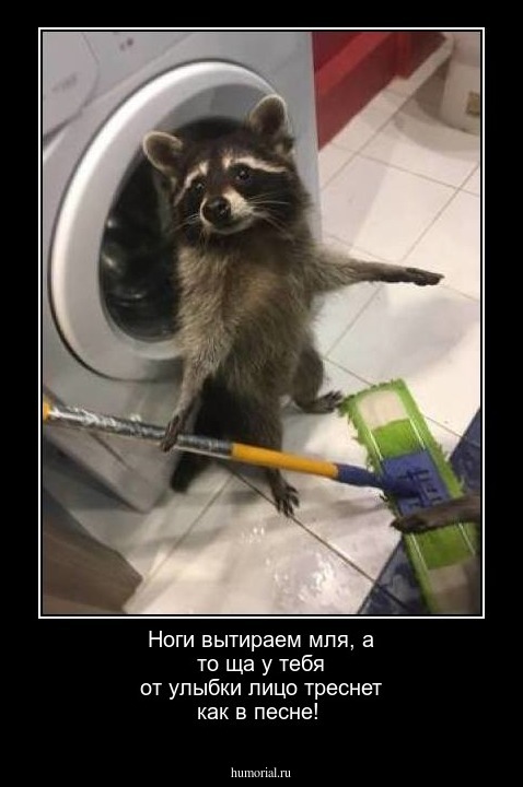 Ноги вытираем мля, а то ща у тебя от улыбки лицо треснет как в песне!