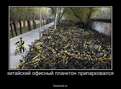 китайский офисный планктон припарковался