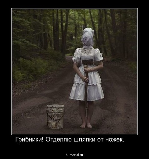 Грибники! Отделяю шляпки от ножек.     