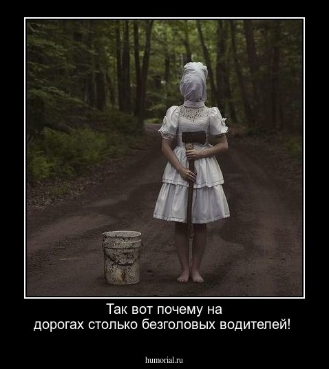 Так вот почему на дорогах столько безголовых водителей!