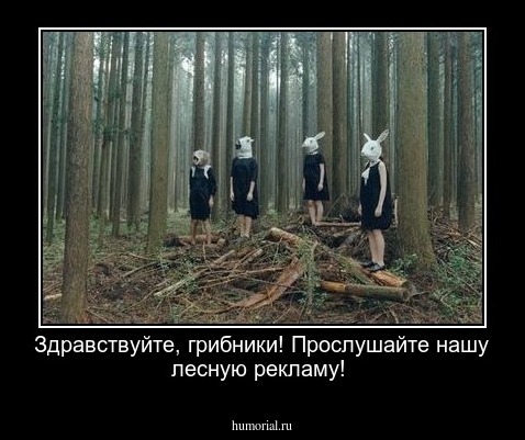 Здравствуйте, грибники! Прослушайте нашу лесную рекламу!