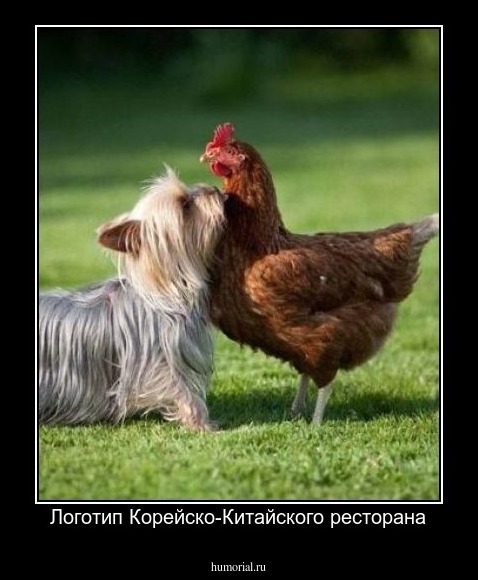Логотип Корейско-Китайского ресторана