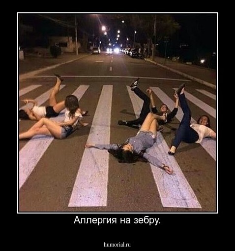 Аллергия на зебру.