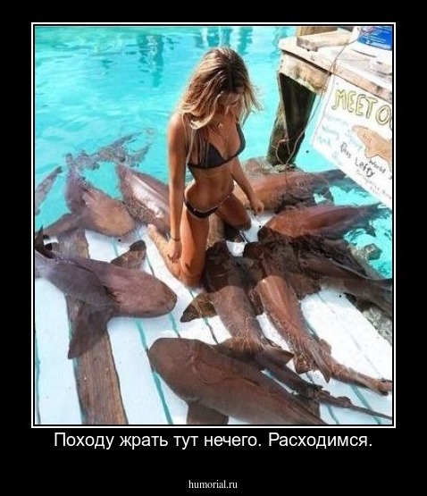 Походу жрать тут нечего. Расходимся.