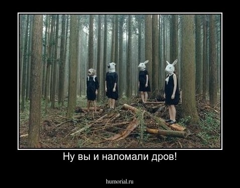 Ну вы и наломали дров!