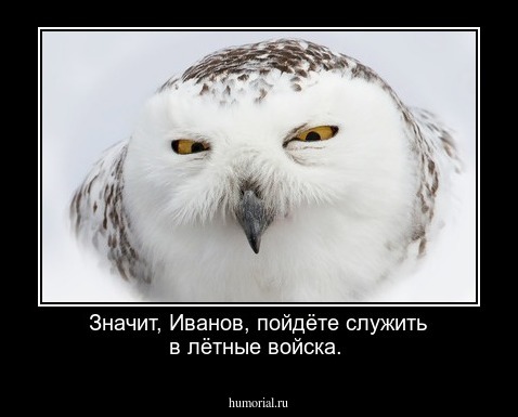 Значит, Иванов, пойдёте служить в лётные войска.