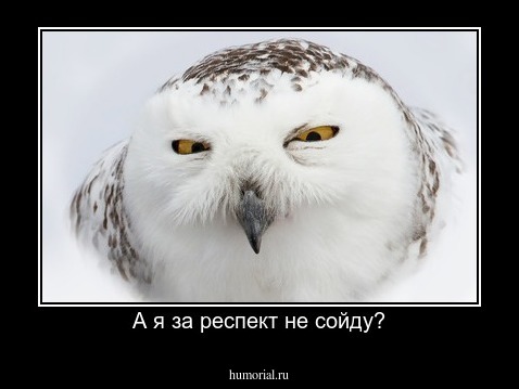 А я за респект не сойду?