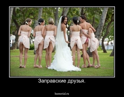 Заправские друзья.