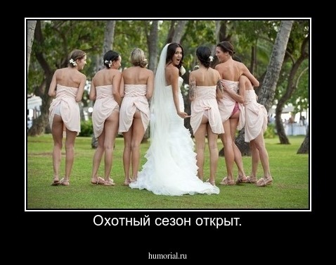 Охотный сезон открыт.