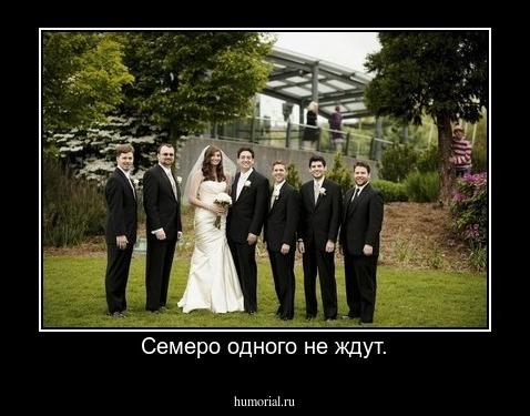 Семеро одного не ждут.