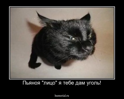 Пьяноя "лицо" я тебе дам уголь!