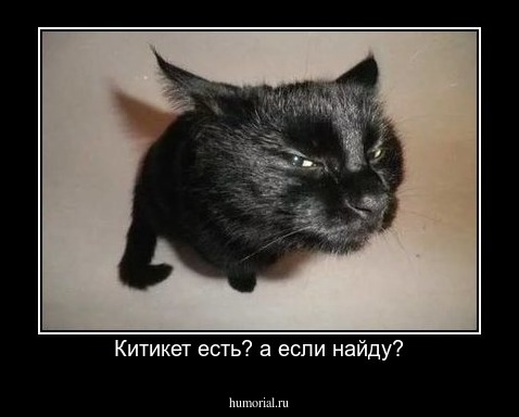 Китикет есть? а если найду?