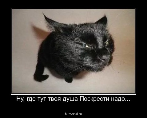 Ну, где тут твоя душа Поскрести надо...