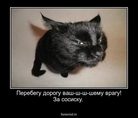 Перебегу дорогу ваш-ш-ш-шему врагу!  За сосиску.