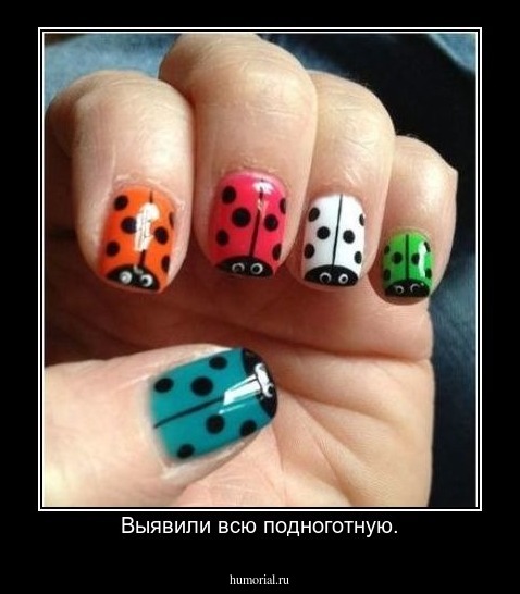 Выявили всю подноготную.