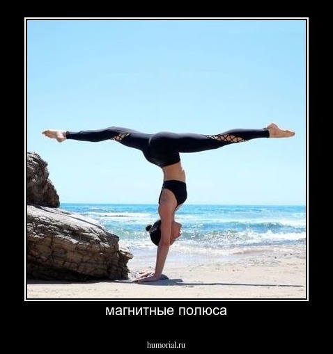 магнитные полюса