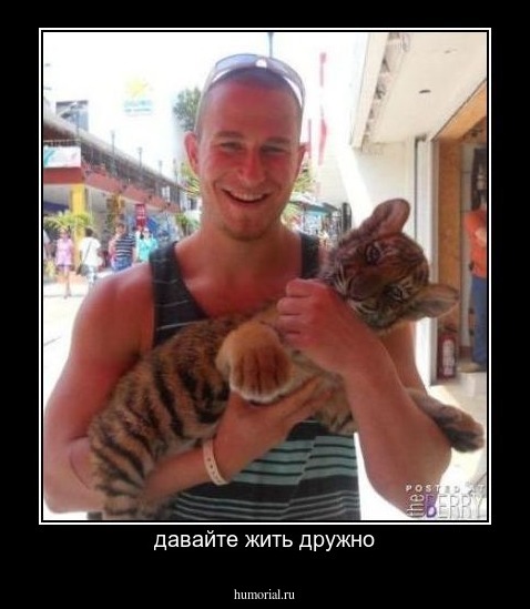 давайте жить дружно