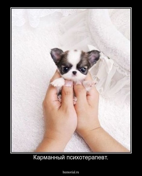 Карманный психотерапевт.