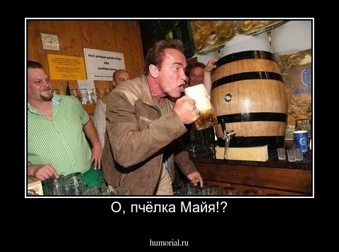 О, пчёлка Майя!?