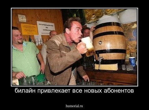 билайн привлекает все новых абонентов