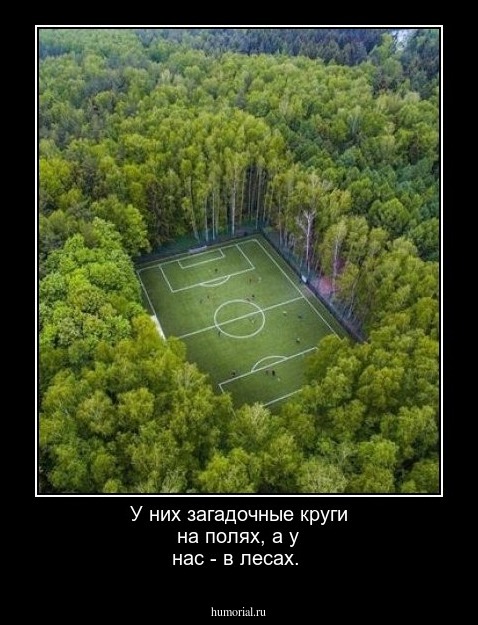 У них загадочные круги на полях, а у нас - в лесах.