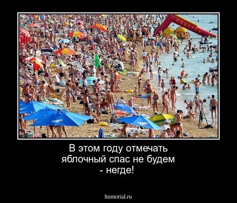 В этом году отмечать яблочный спас не будем - негде!