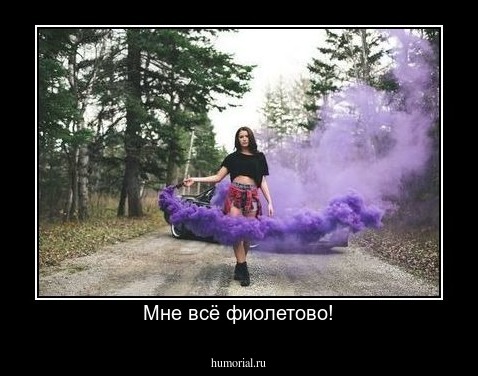 Мне всё фиолетово!