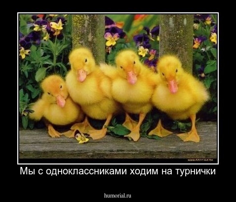 Мы с одноклассниками ходим на турнички