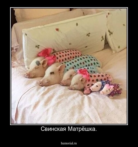 Свинская Матрёшка.