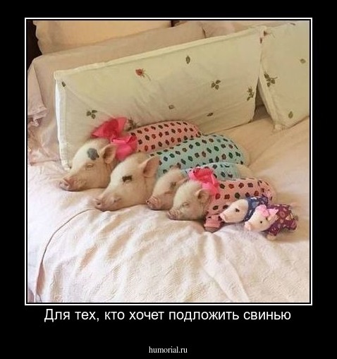 Для тех, кто хочет подложить свинью