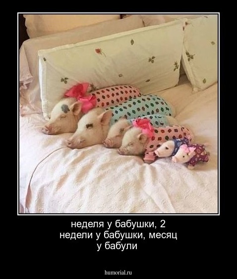неделя у бабушки, 2 недели у бабушки, месяц у бабули