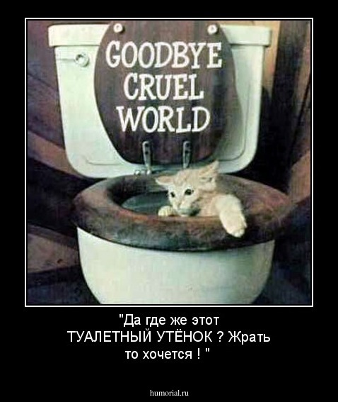 "Да где же этот ТУАЛЕТНЫЙ УТЁНОК ? Жрать то хочется ! "