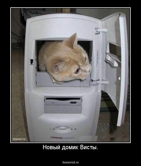 Новый домик Висты.