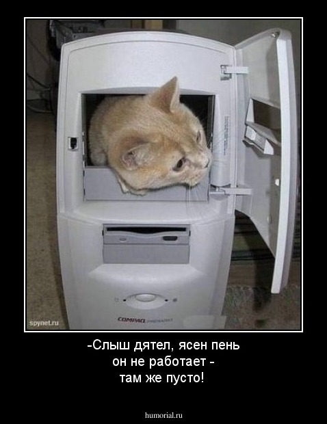 -Слыш дятел, ясен пень он не работает - там же пусто!