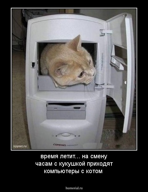 время летит... на смену часам с кукушкой приходят компьютеры с котом