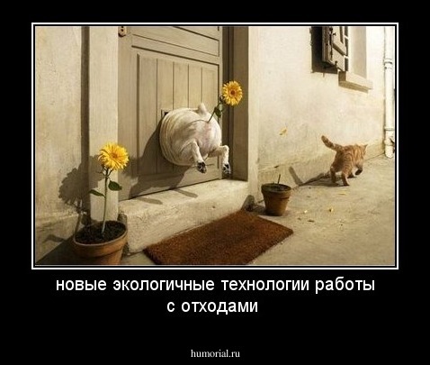 новые экологичные технологии работы с отходами