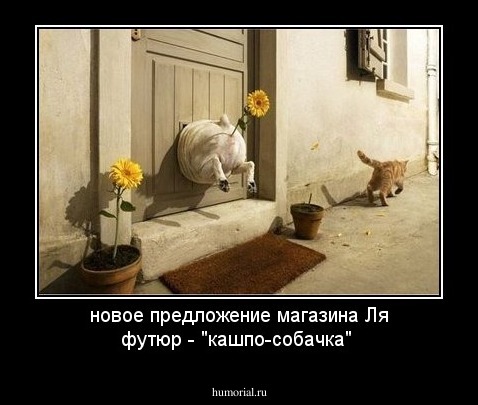 новое предложение магазина Ля футюр - "кашпо-собачка"