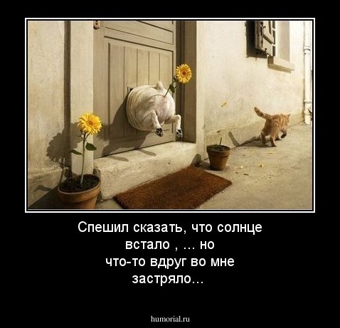 Спешил сказать, что солнце встало , ...
но что-то вдруг во мне застряло...