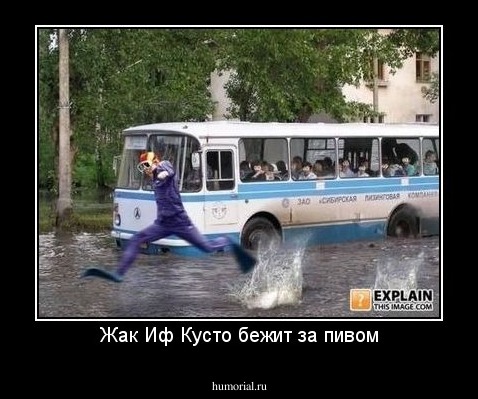Жак Иф Кусто бежит за пивом