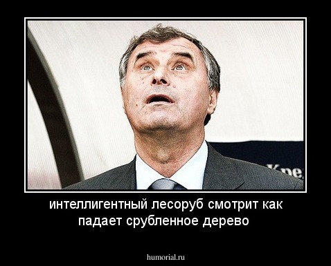 интеллигентный лесоруб смотрит как падает срубленное дерево