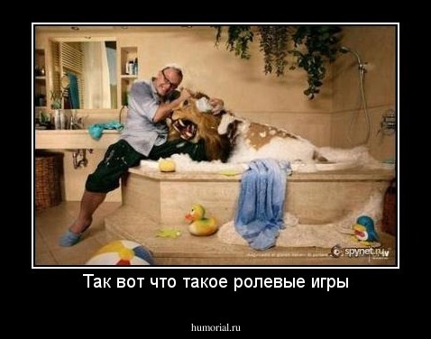 Так вот что такое ролевые игры