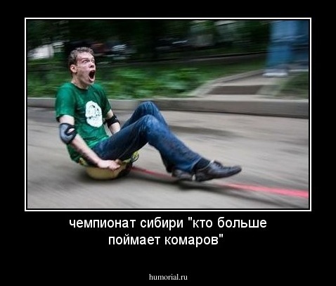 чемпионат сибири "кто больше поймает комаров"