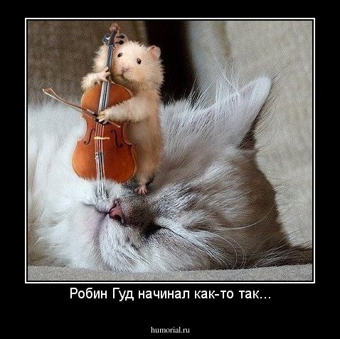 Робин Гуд начинал как-то так...