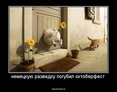 немецкую разведку погубил октоберфест